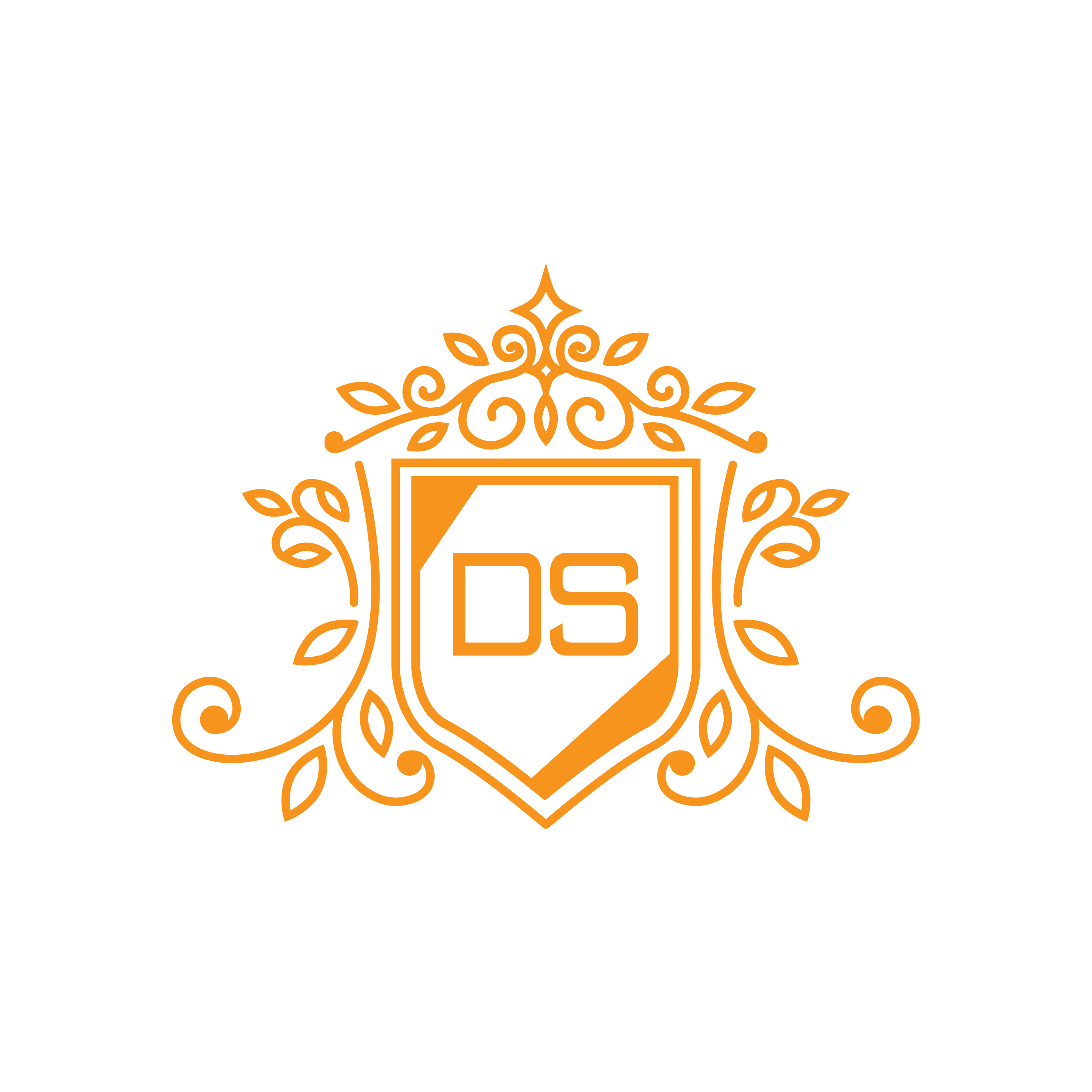 DS Gallery logo